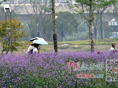 昔日垃圾場(chǎng)變身城市公園